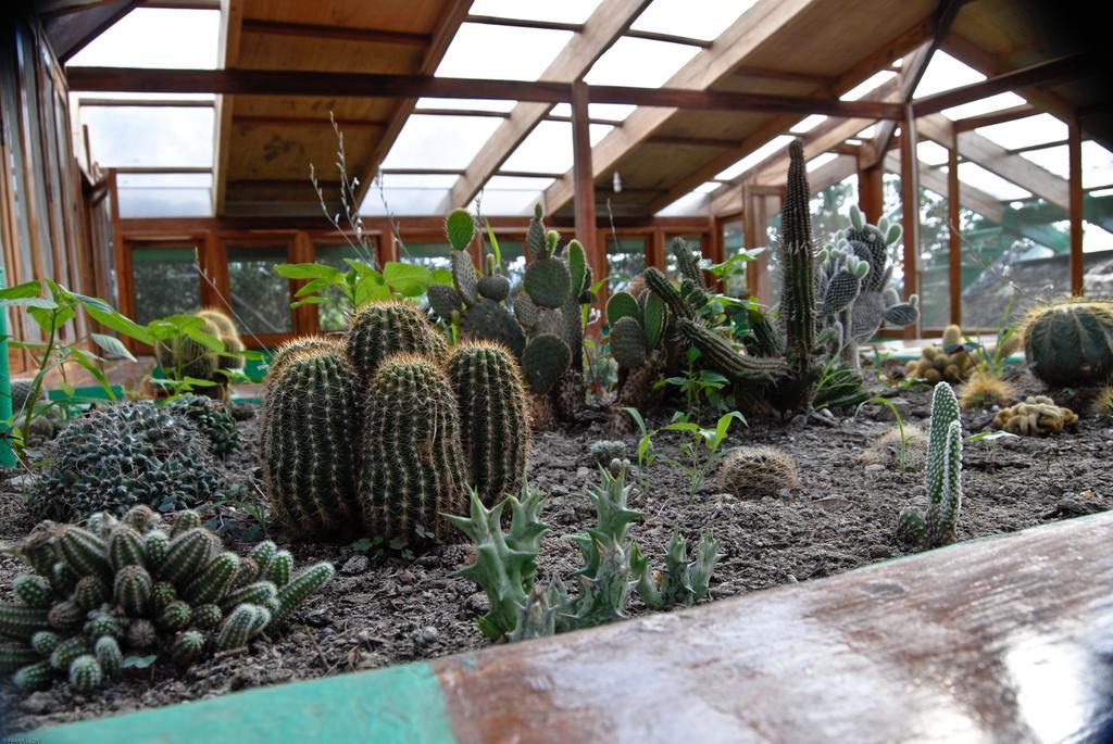 Hosteria Mandala Puerto López Buitenkant foto