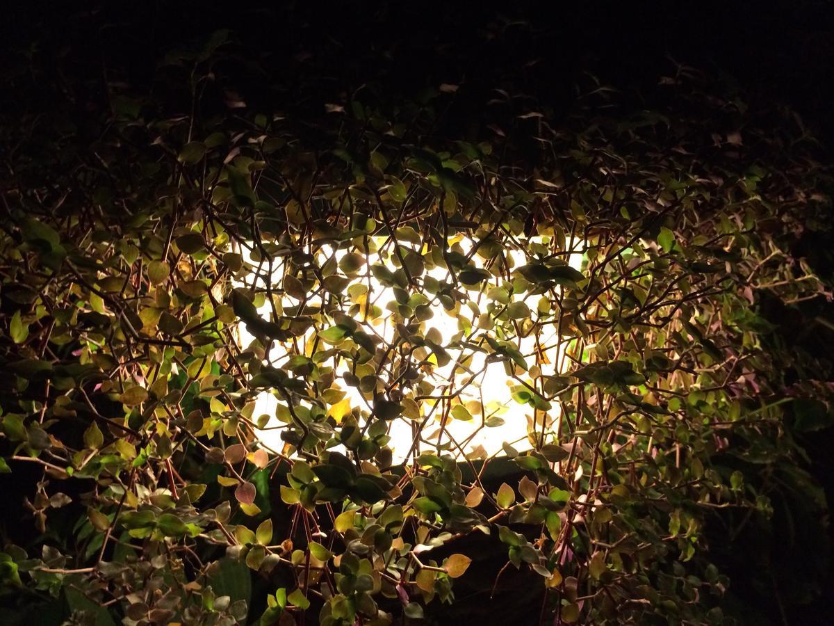 Hosteria Mandala Puerto López Buitenkant foto